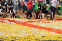 ALFOMBRAS FLORALES: Montserrat Aniversario