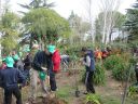 La Fiesta del Árbol